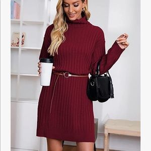 Red sweater dress